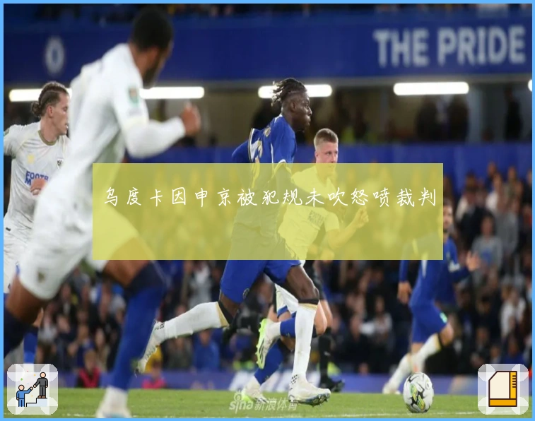 乌度卡因申京被犯规未吹怒喷裁判