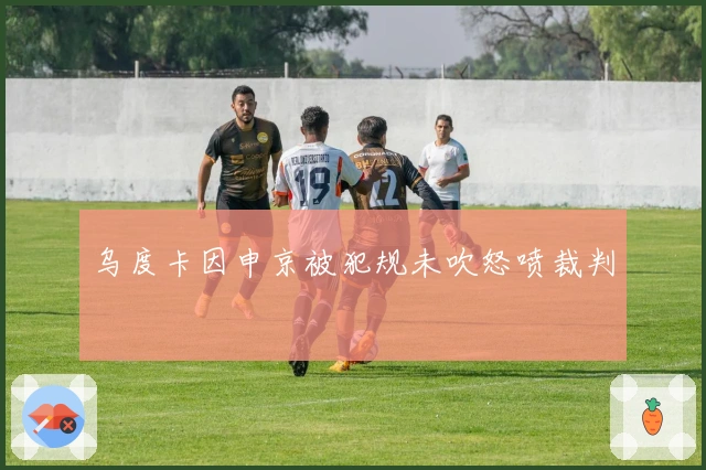 乌度卡因申京被犯规未吹怒喷裁判